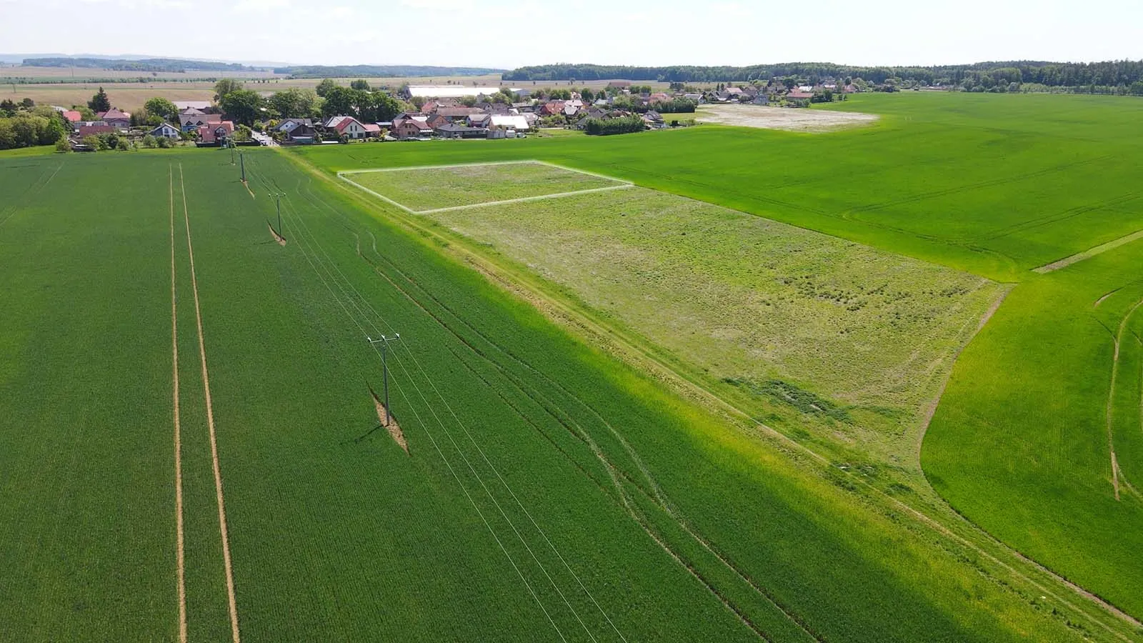 Stavební pozemek v Divci u Hradce – fotografie 4